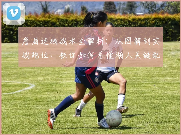 詹眉连线战术全解析:从图解到实战跑位,教你如何看懂湖人关键配合