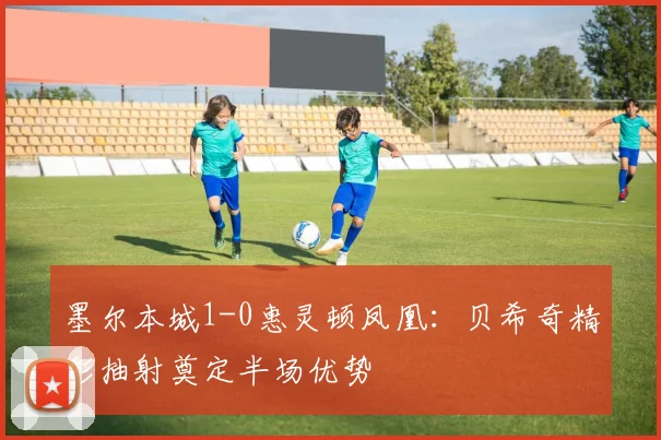 墨尔本城1-0惠灵顿凤凰:贝希奇精彩抽射奠定半场优势